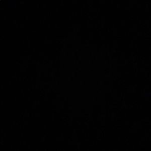 Meet your Posher, Lizz